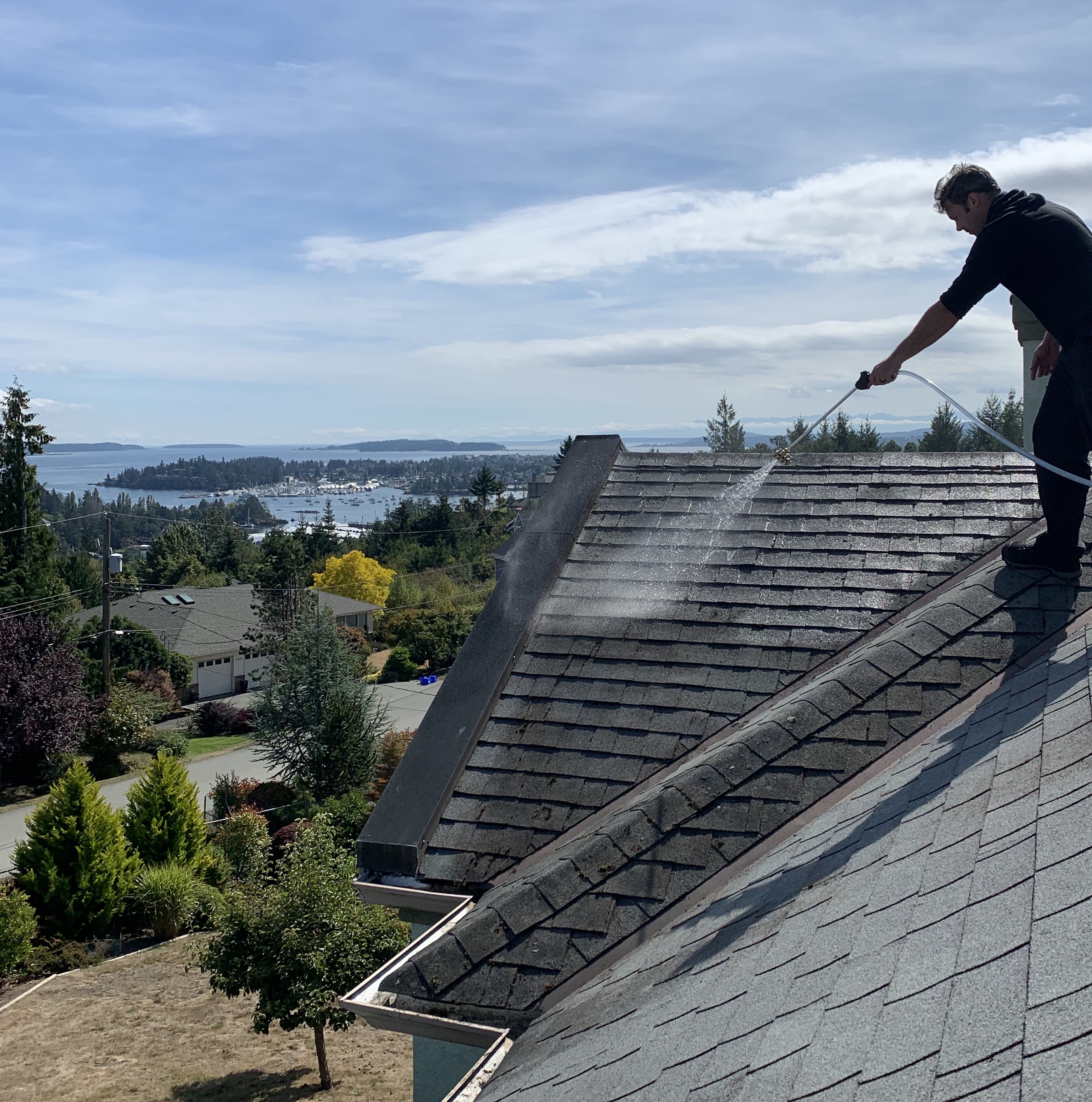 best moss treatment for roofs